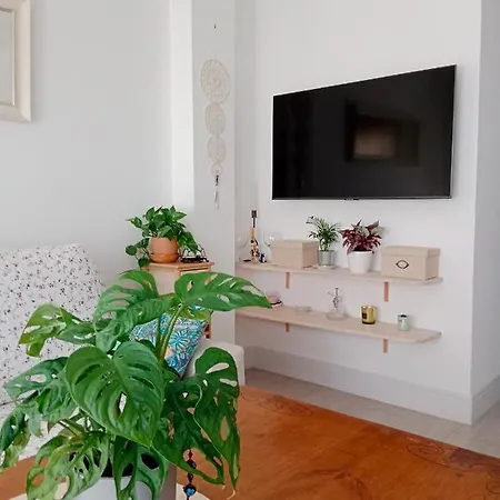 Apartamento Alma *