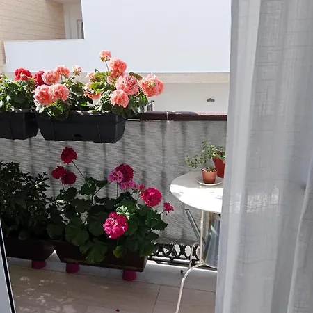 Apartamento Alma Apartment
